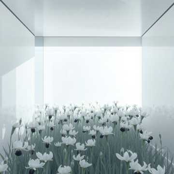 曲のカバー Lirio Con Espinas