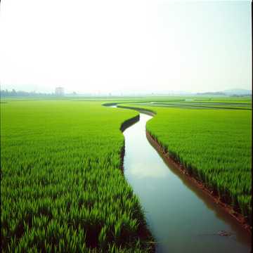 Cover des Liedes Vĩnh Long đợi chờ