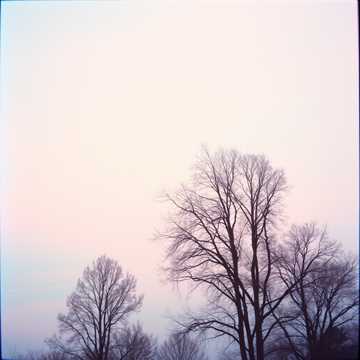 歌曲的封面Dreams of Us