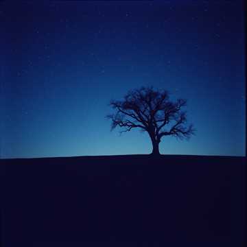 Cover of the song Shadows of the Heart