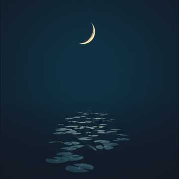 A dal borítója Moonlit Serenade