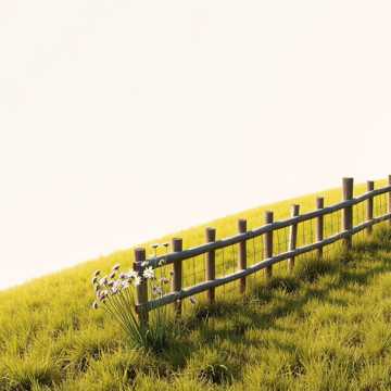 Couverture de la chanson Wiosna, wiosna – czy ty też?