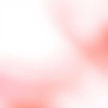 노래 표지 햇살이 머무는 오후