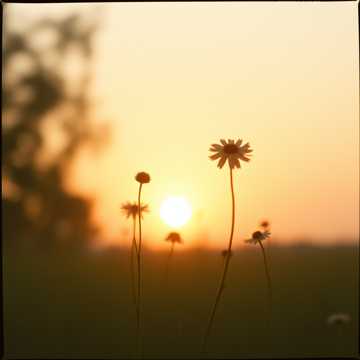 Cover of the song ジェナンの物語