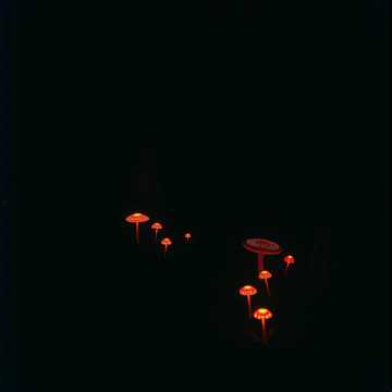 Cover des Liedes La brujita de feliz