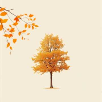 曲のカバー 가을 이별