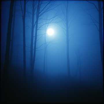 Cover of the song Rajtek Song