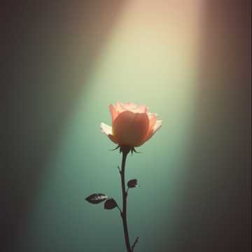 Bìa bài hát Берегите любовь