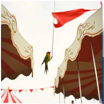 歌曲的封面yumuşak yumuşak