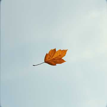 Cover of the song 준비없는 이별