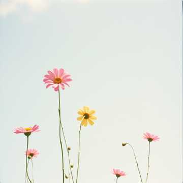 Capa da música Za Horyzontem Dnia