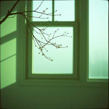 A dal borítója 春风不相识