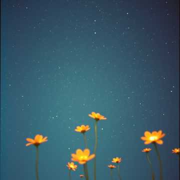 Copertina della canzone Заворожила