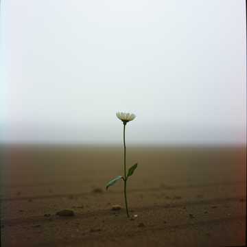 歌曲的封面Tere Bin 2