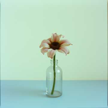 Cover of the song soy un buen perdedor