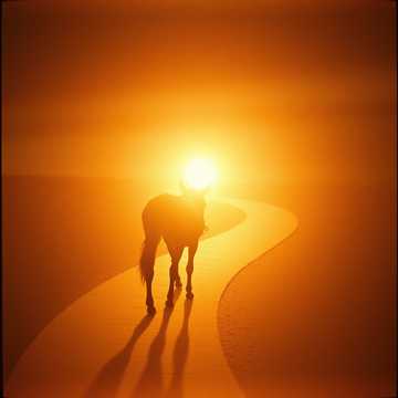 Portada de la canción XIN CHỌN LÀM CHÚ LỪA CON (3)