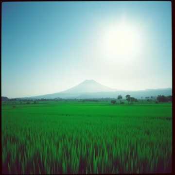 คัฟเวอร์เพลง Vùng trời quê hương nào cũng là bầu trời của tổ quốc