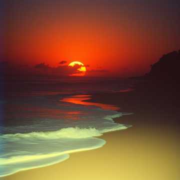 Cover of the song Solen i Natten