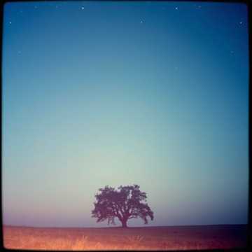 Cover av låten Mögest du Ruhe finden