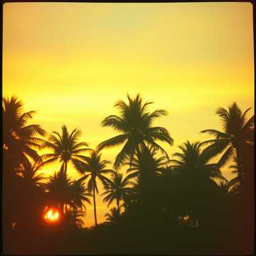 曲のカバー Greeshma