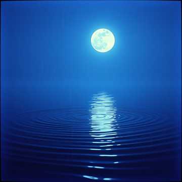 A dal borítója Vat mua chieu