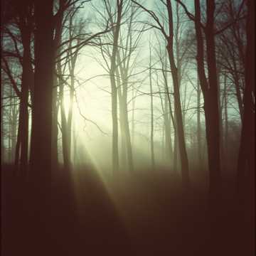 Copertina della canzone Друг