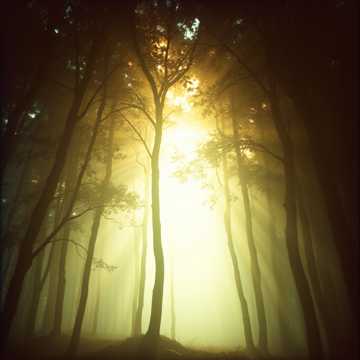 คัฟเวอร์เพลง Hymn Trójcy Światła