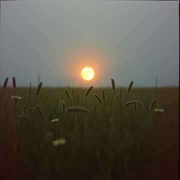 คัฟเวอร์เพลง Noite de Setembro