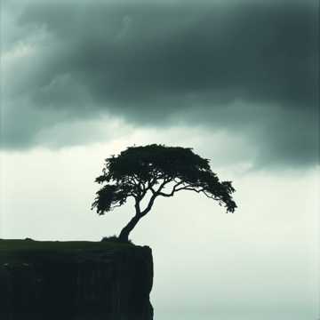 Cover van het nummer Le akarok lépni