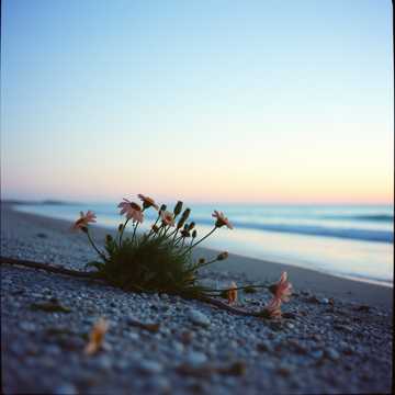 คัฟเวอร์เพลง Прощай, Наташа