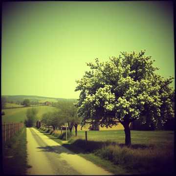 Bìa bài hát un chintec