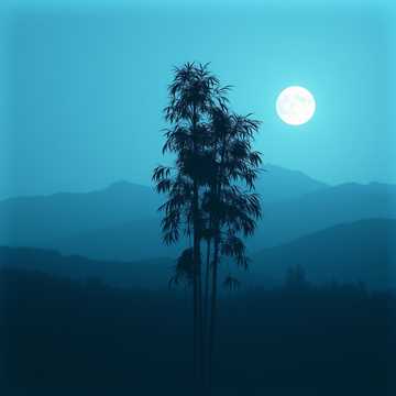 曲のカバー 长亭短亭