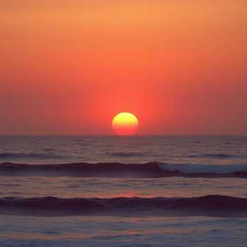 Cover of the song gracias mi amor.