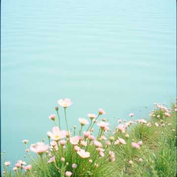 Cover of the song Арыс жағасында