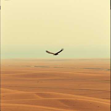 Cover of the song Je me pose la question