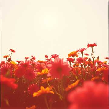 Cover des Liedes Вал2