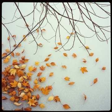 Capa da música Умерли листья