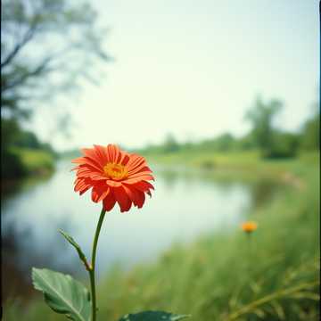 Cover des Liedes Арыс жагында