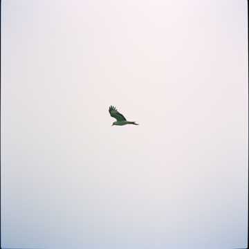 คัฟเวอร์เพลง ДАВАЙ ПОГОВОРИМ