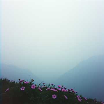 Couverture de la chanson 清芬揖手