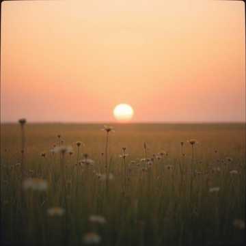 Кавер на песню När Vinden Vänder