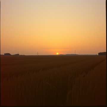 曲のカバー Свет звезды