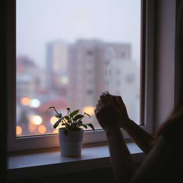 A dal borítója Eras a minha Melhor amiga