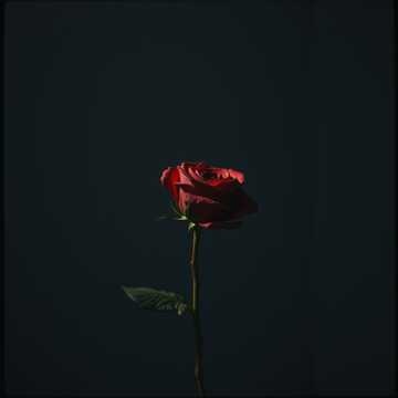 歌曲的封面COMO