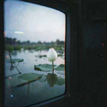 Bìa bài hát Phul Nekha phule ase..  Akash la oi tara..  Ekhlai moge bhala nalage..  Sona tol