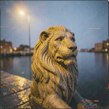 คัฟเวอร์เพลง Viva Venessia, soto e ali del leon !