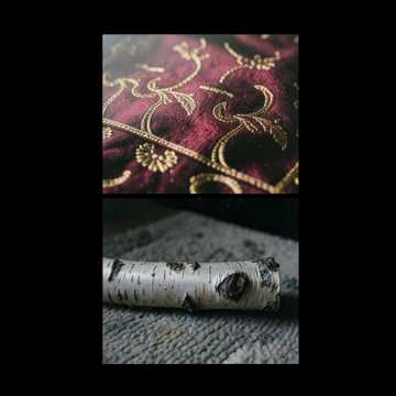 Cover des Liedes Die letzte Kriegerin (Dschingis Khan) 28 V