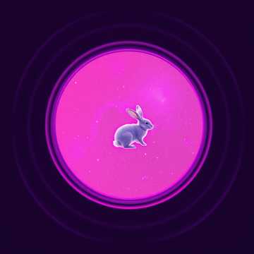 คัฟเวอร์เพลง amelia