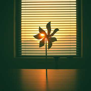 歌曲的封面Страховики