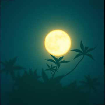 Copertina della canzone Susurros en la Noche